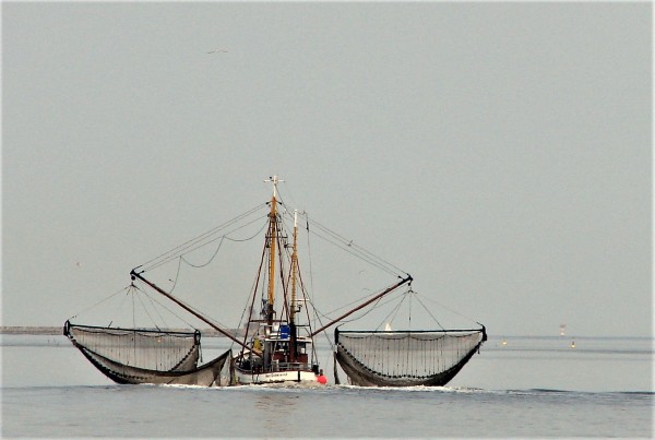 Krabbenkutter in Dangast - (c) R Herling.jpg